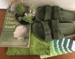 Sorting my stuff by colour – a collection of green items including a book, a garment and more