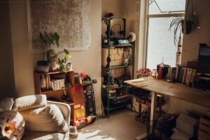 A cluttercore room contains cushions, a bookshelf, potplants, a desk and books